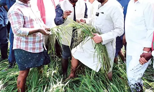 Pawan Kalyan : हम उन अन्नदाताओं की मदद करेंगे जिन्होंने पैसे गंवाए है Pawan Kalyan : हम उन अन्नदाताओं की मदद करेंगे जिन्होंने पैसे गंवाए है