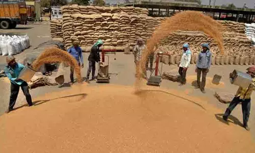 Jalandhar: बाढ़ प्रभावित क्षेत्रों में किसानों को 380 क्विंटल गेहूं का बीज मुफ्त वितरित किया जाएगा