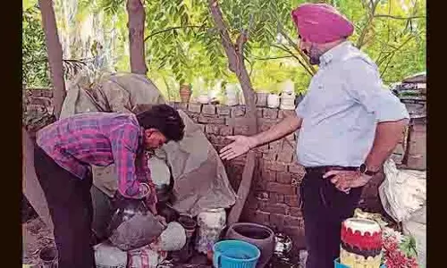 Ludhiana: डेंगू के 29 हॉटस्पॉट चिन्हित, कुल संख्या 361 हुई