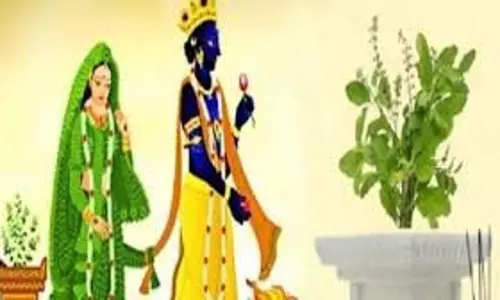 Tulsi Vivah 2025: तारीख, पूजा विधि और सामग्री Tulsi Vivah 2025: तारीख, पूजा विधि और सामग्री