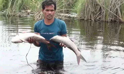 Odisha बांध में मछलियों की सामूहिक मौत से आक्रोश Odisha बांध में मछलियों की सामूहिक मौत से आक्रोश