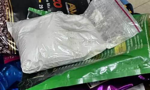DRI मुंबई ने कोकीन तस्करी की बड़ी कोशिश नाकाम की