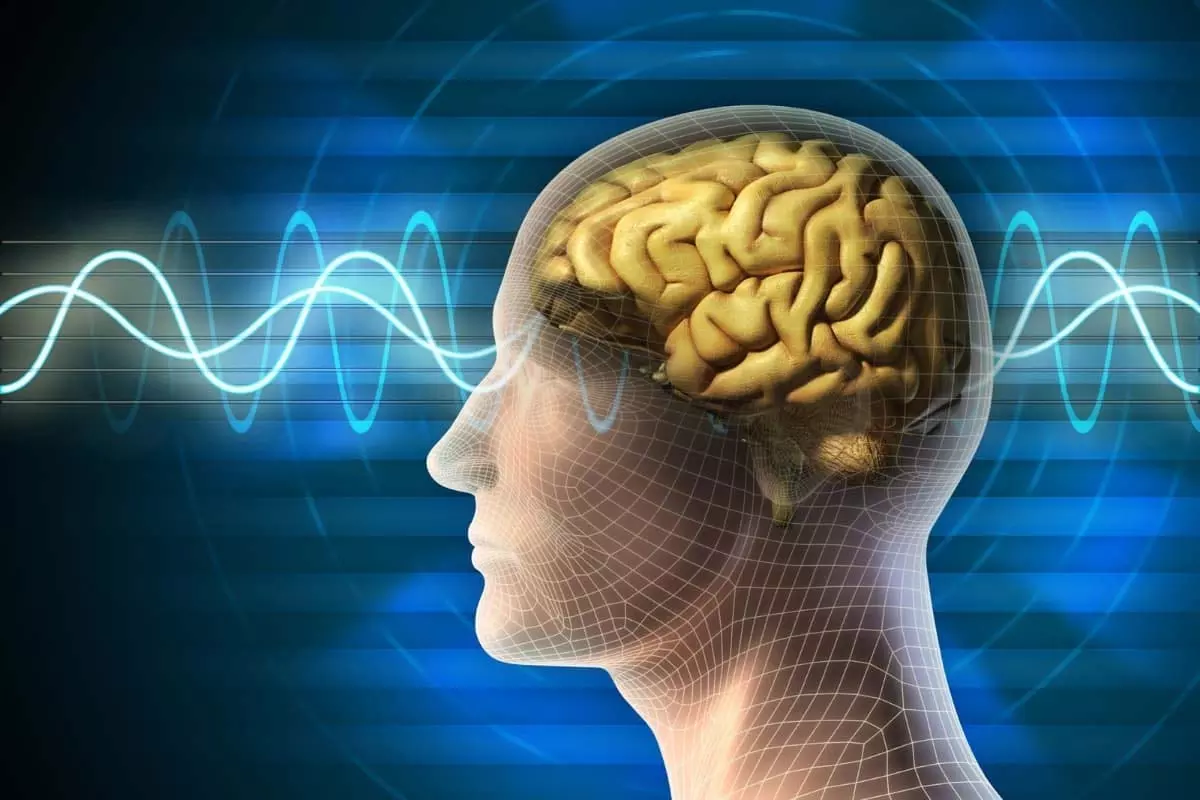 Science News: अंधेरे में आते ही ऐसा हो जाता है इंसान का दिमाग, साइंटिस्ट ने खोले राज Science News: अंधेरे में आते ही ऐसा हो जाता है इंसान का दिमाग, साइंटिस्ट ने खोले राज