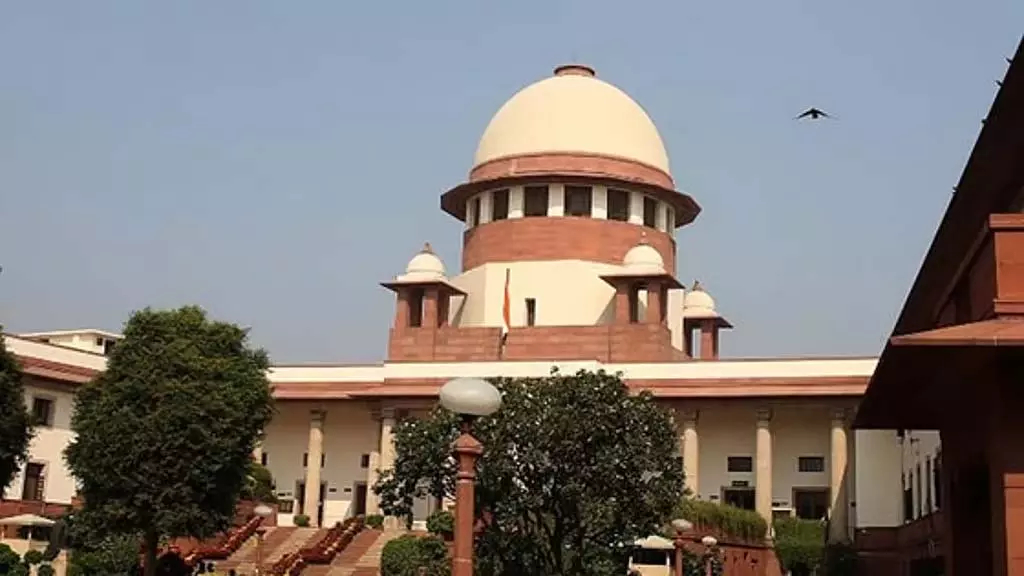 आवारा कुत्तों का मुद्दा: मुख्य सचिवों को 3 नवंबर को खुद पेश होना होगा: SC का निर्देश आवारा कुत्तों का मुद्दा: मुख्य सचिवों को 3 नवंबर को खुद पेश होना होगा: SC का निर्देश