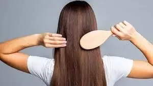 Hair Care: बालों की सफेदी का घरेलू इलाज जानें तांबे के बर्तन के पानी का असर Hair Care: बालों की सफेदी का घरेलू इलाज जानें तांबे के बर्तन के पानी का असर