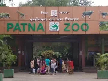 Patna: पटना जू का विजिट टाइम घटाया गया, ठंड से बचाव के लिए कदम Patna: पटना जू का विजिट टाइम घटाया गया, ठंड से बचाव के लिए कदम