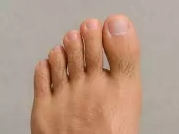 Hair On Toe: स्त्रियों के पैरों के अंगूठे पर बाल होना शुभ है या अशुभ Hair On Toe: स्त्रियों के पैरों के अंगूठे पर बाल होना शुभ है या अशुभ
