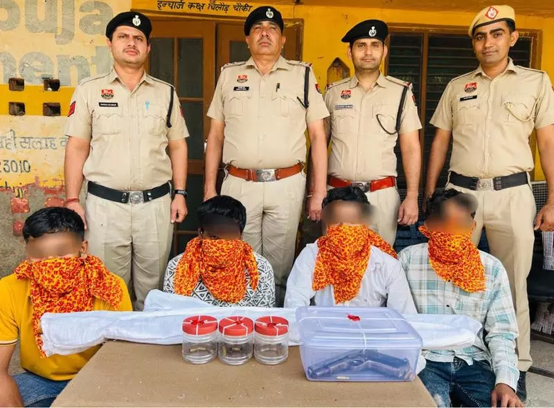 Rohtak में पुलिस मुठभेड़ के बाद गिरोह के पांच सदस्य गिरफ्तार Rohtak में पुलिस मुठभेड़ के बाद गिरोह के पांच सदस्य गिरफ्तार