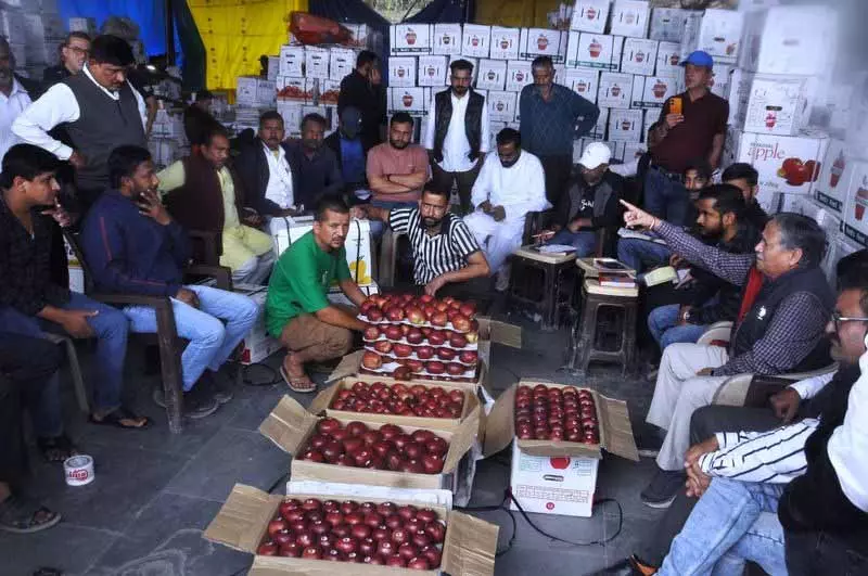 HPMC ने 98,000 टन सेब खरीदा, पिछले साल से तीन गुना अधिक HPMC ने 98,000 टन सेब खरीदा, पिछले साल से तीन गुना अधिक