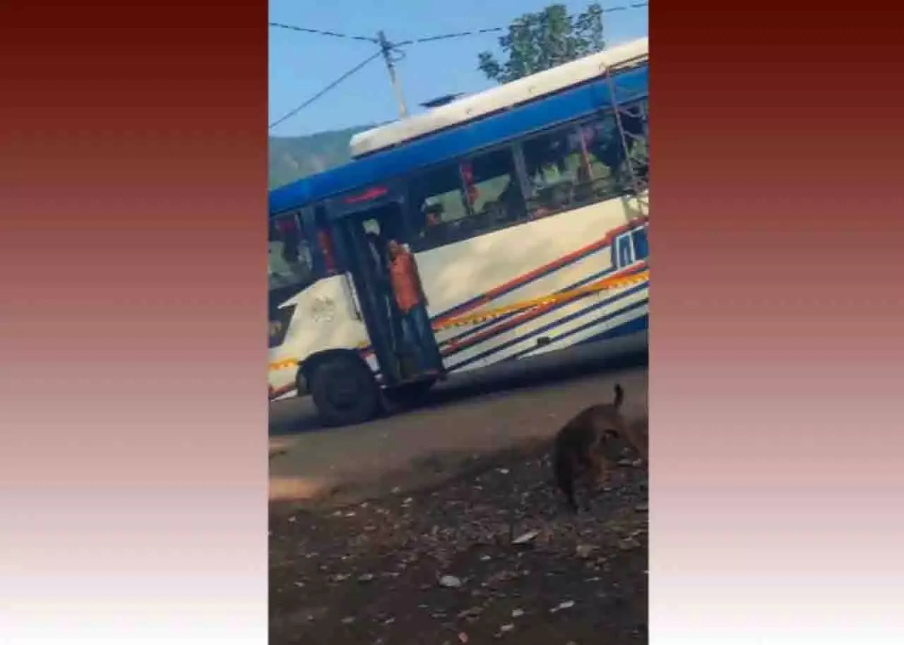 सड़क पर घसीटे गए कुत्ते का दिल दहला देने वाला वीडियो ओडिशा को झकझोर गया सड़क पर घसीटे गए कुत्ते का दिल दहला देने वाला वीडियो ओडिशा को झकझोर गया