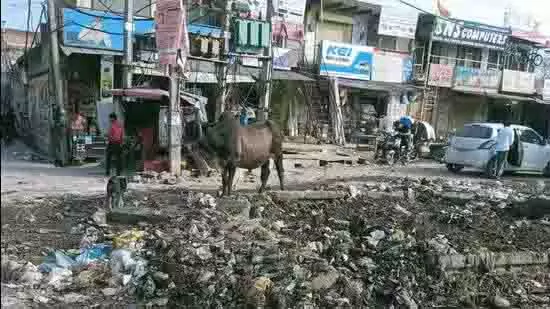 एमसीएम मानेसर में कचरा संग्रहण पर नज़र रखने के लिए आरएफआईडी टैग लगाएगा एमसीएम मानेसर में कचरा संग्रहण पर नज़र रखने के लिए आरएफआईडी टैग लगाएगा