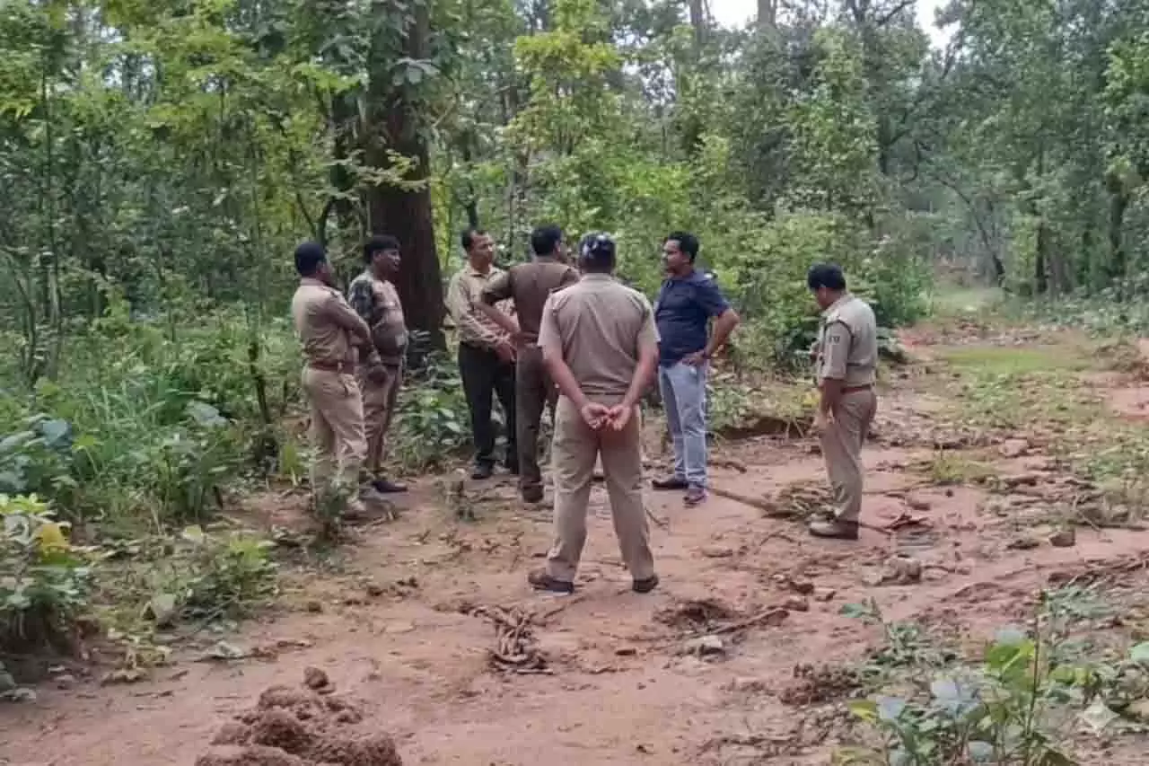 Ganjam के आरक्षित वन में मृत मिला टस्कर, शिकार का संदेह Ganjam के आरक्षित वन में मृत मिला टस्कर, शिकार का संदेह
