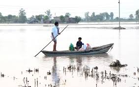 Punjab में बाढ़ से हुए नुकसान पर 11 सदस्यीय पैनल रिपोर्ट तैयार करेगा