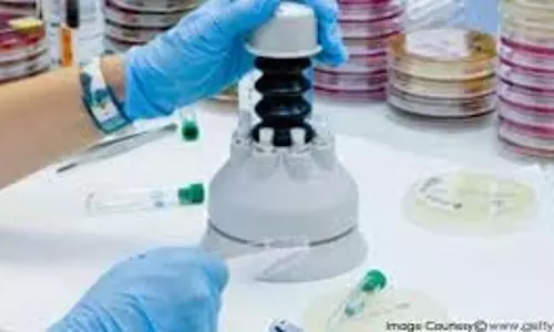 Science News: वैज्ञानिकों ने खोजा नया एंटीबायोटिक, WHO को नई उम्मीद Science News: वैज्ञानिकों ने खोजा नया एंटीबायोटिक, WHO को नई उम्मीद