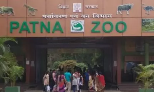 Patna: पटना जू का विजिट टाइम घटाया गया, ठंड से बचाव के लिए कदम