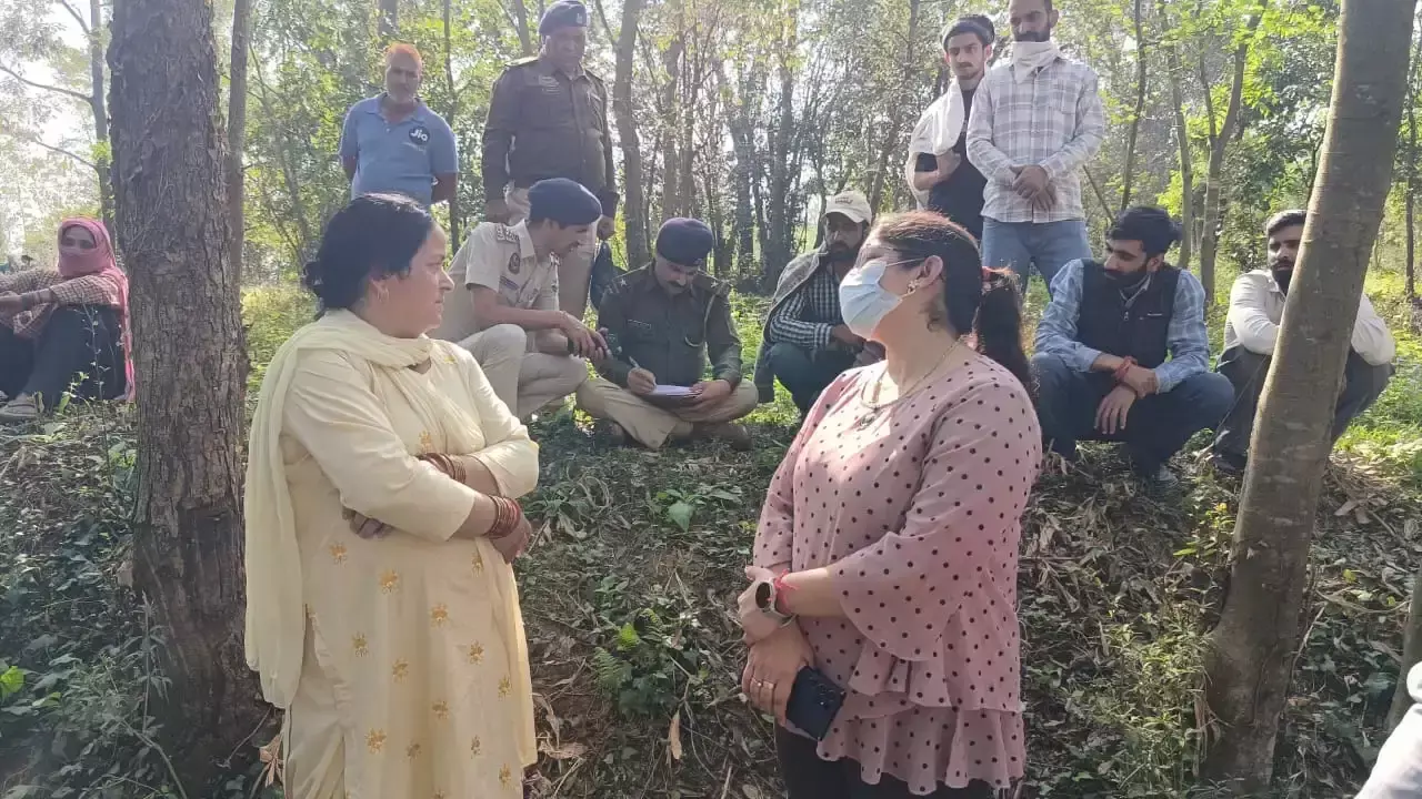 Mandi: मृत पशुओं को खुले में डालने के मामले ने पकड़ा तूल Mandi: मृत पशुओं को खुले में डालने के मामले ने पकड़ा तूल