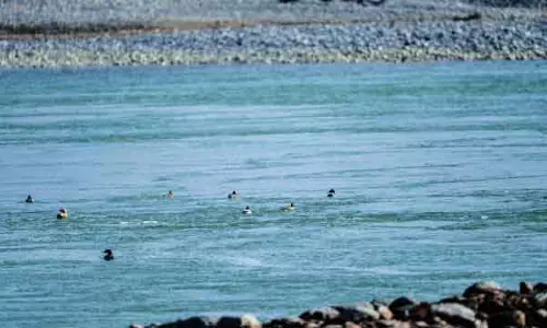 गहिरमाथा में मछली पकड़ने पर 7 महीने का प्रतिबंध आज से शुरू गहिरमाथा में मछली पकड़ने पर 7 महीने का प्रतिबंध आज से शुरू