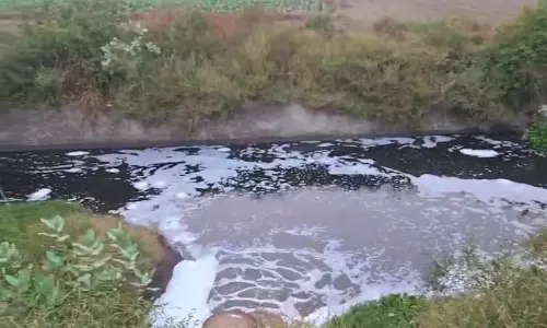 Haryana :  बरही में यमुना की ओर जाने वाले नाले में अपशिष्ट पदार्थ बहाया जा रहा है