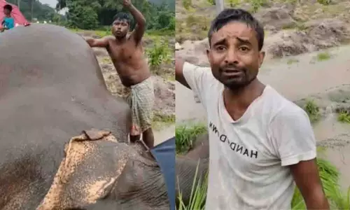 Assam में हाथी की मौत पर शोक मनाते ग्रामीणों का दिल दहला देने वाला वीडियो