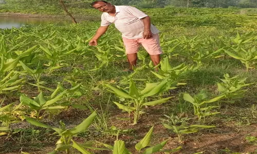 कृषक वामन टिकरिहा डॉ. खूबचंद बघेल कृषक रत्न पुरस्कार के लिए चयनित कृषक वामन टिकरिहा डॉ. खूबचंद बघेल कृषक रत्न पुरस्कार के लिए चयनित