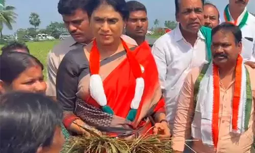 APCC प्रमुख ने चक्रवात मोथा प्रभावित किसानों के लिए राष्ट्रीय आपदा का दर्जा देने की मांग की APCC प्रमुख ने चक्रवात मोथा प्रभावित किसानों के लिए राष्ट्रीय आपदा का दर्जा देने की मांग की