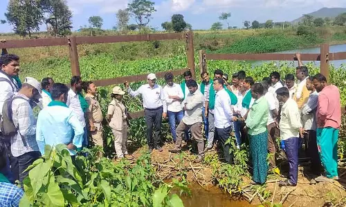 Karnataka : जंगली जानवरों के हमले को रोकने के लिए कार्रवाई करें Karnataka : जंगली जानवरों के हमले को रोकने के लिए कार्रवाई करें