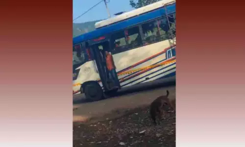 सड़क पर घसीटे गए कुत्ते का दिल दहला देने वाला वीडियो ओडिशा को झकझोर गया
