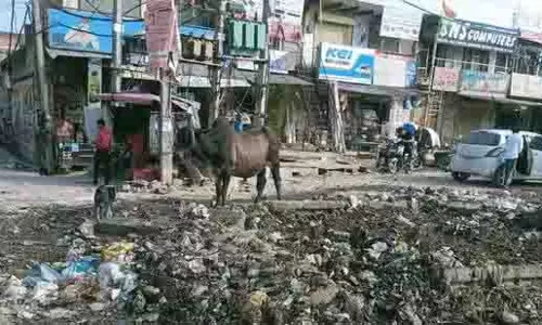 एमसीएम मानेसर में कचरा संग्रहण पर नज़र रखने के लिए आरएफआईडी टैग लगाएगा एमसीएम मानेसर में कचरा संग्रहण पर नज़र रखने के लिए आरएफआईडी टैग लगाएगा