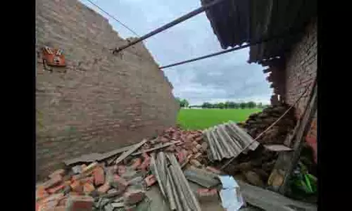 पंजाब में बाढ़ से हुए नुकसान पर 11 सदस्यीय पैनल रिपोर्ट तैयार करेगा