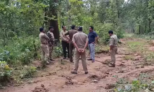 Ganjam के आरक्षित वन में मृत मिला टस्कर, शिकार का संदेह Ganjam के आरक्षित वन में मृत मिला टस्कर, शिकार का संदेह
