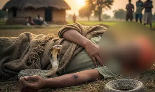 सांप से खेलना पड़ा भारी, डसने से किसान की मौत
