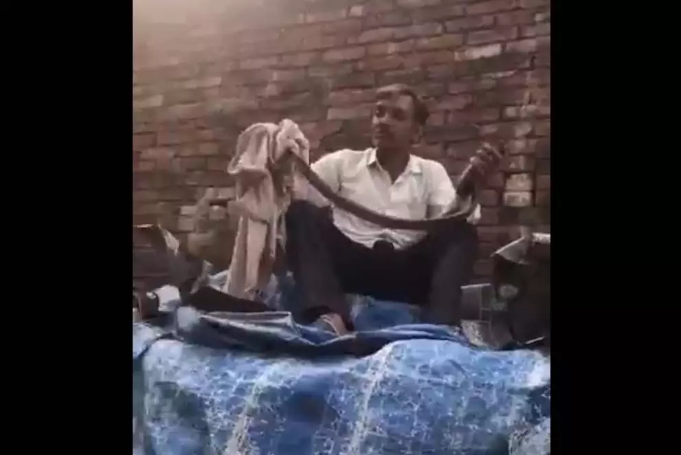 खतरनाक जिद...खेल-खेल में काल को बुलाया, LIVE मंजर खतरनाक जिद...खेल-खेल में काल को बुलाया, LIVE मंजर