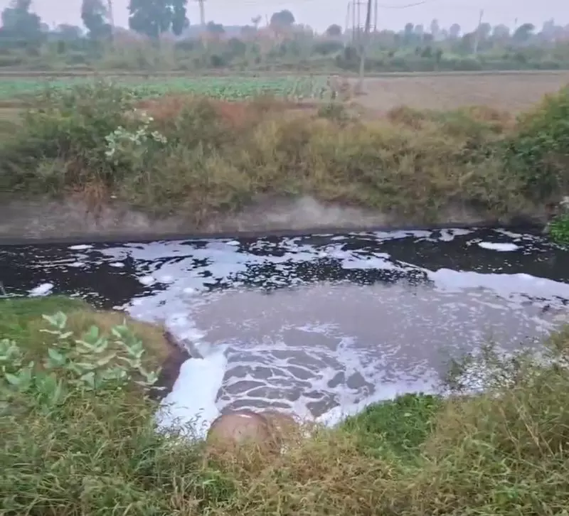Haryana : बरही में यमुना की ओर जाने वाले नाले में अपशिष्ट पदार्थ बहाया जा रहा है Haryana : बरही में यमुना की ओर जाने वाले नाले में अपशिष्ट पदार्थ बहाया जा रहा है