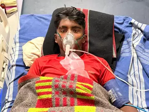 लड़के को सांप ने डसा, 3 दिनों तक ICU में चला ईलाज, जान बची लड़के को सांप ने डसा, 3 दिनों तक ICU में चला ईलाज, जान बची
