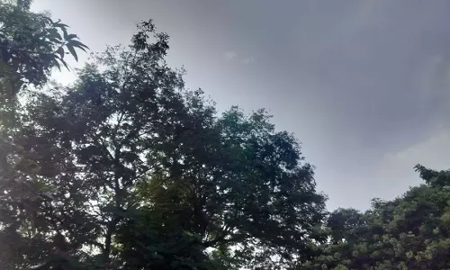 मौसम में उतार-चढ़ाव जारी, हल्की बारिश होने के आसार
