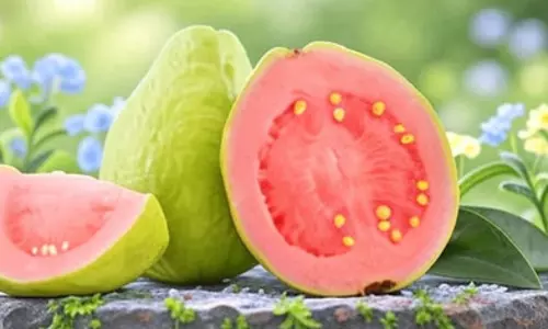 एंटीऑक्सीडेंट्स से भरपूर अमरूद करता है दिल की सुरक्षा, धमनियों को रखता है साफ