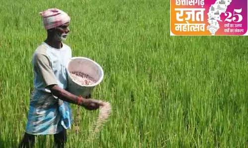 छत्तीसगढ़ रजत जयंती : कृषि विकास के 25 बछर की झलक