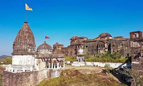 Tom and Plum: हल्की बारिश, गीली हवा, नरसिंहगढ़ में घूमने वालों का स्वागत
