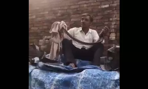 खतरनाक जिद...खेल-खेल में काल को बुलाया, LIVE मंजर खतरनाक जिद...खेल-खेल में काल को बुलाया, LIVE मंजर