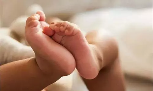 Punjab : कांटों में पड़ा मिला नवजात शिशु, पुलिस मामले की जांच में जुटी Punjab : कांटों में पड़ा मिला नवजात शिशु, पुलिस मामले की जांच में जुटी