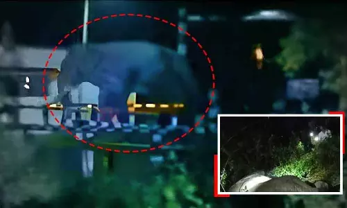 Mayurbhanj में ट्रेन दुर्घटना में हाथी की मौत Mayurbhanj में ट्रेन दुर्घटना में हाथी की मौत