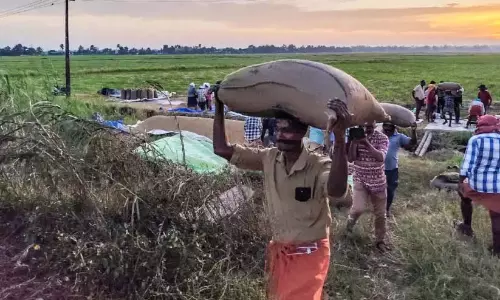 Kerala : कुट्टनाड में धान की खरीद शुरू Kerala : कुट्टनाड में धान की खरीद शुरू