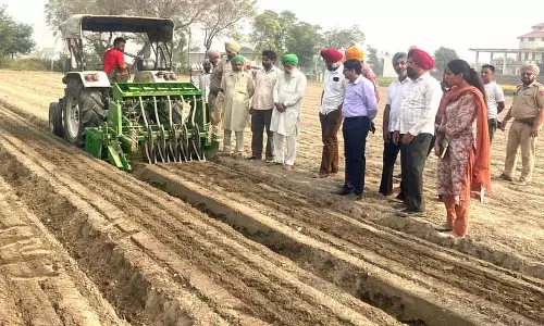 Punjab के किसान ने पर्यावरण अनुकूल स्थायी ऊँची क्यारी विधि अपनाई Punjab के किसान ने पर्यावरण अनुकूल स्थायी ऊँची क्यारी विधि अपनाई
