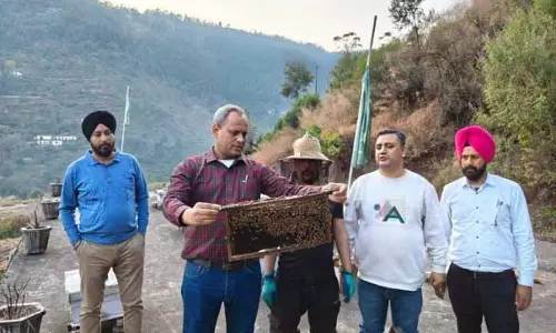 POONCH: किसान ने मधुमक्खी पालन और जैविक खेती में मानक स्थापित किया POONCH: किसान ने मधुमक्खी पालन और जैविक खेती में मानक स्थापित किया