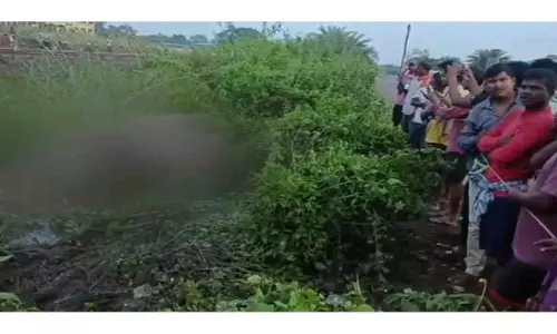 Odisha के मयूरभंज में ट्रेन की चपेट में आने से हाथी की मौत