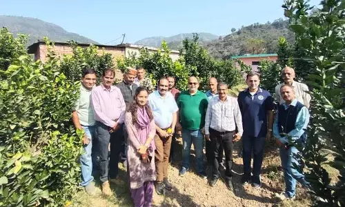 अंतरराष्ट्रीय विशेषज्ञों ने Bilaspur से फल और फूल आयात करने में दिखाई रुचि अंतरराष्ट्रीय विशेषज्ञों ने Bilaspur से फल और फूल आयात करने में दिखाई रुचि