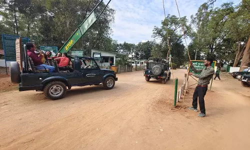 बारनवापारा वन्यजीव अभ्यारण्य पर्यटकों के लिए पुनः खोले गए