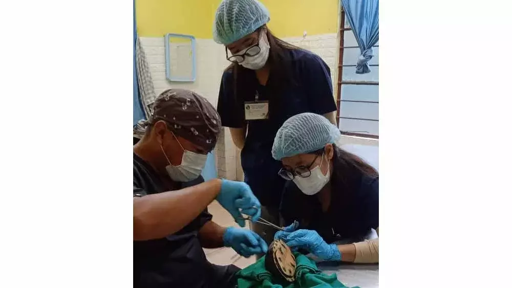 Nagaland में कछुए पर पहली बार एसोफैगोटॉमी की गई Nagaland में कछुए पर पहली बार एसोफैगोटॉमी की गई