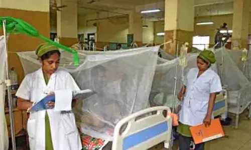 डेंगू का कहर जारी: बांग्लादेश में अब तक 280 से अधिक लोगों की जान गई