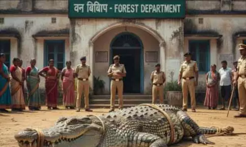 वन विभाग की लापरवाही से कॉलोनी में घुसा मगरमच्छ, रेस्क्यू जारी वन विभाग की लापरवाही से कॉलोनी में घुसा मगरमच्छ, रेस्क्यू जारी